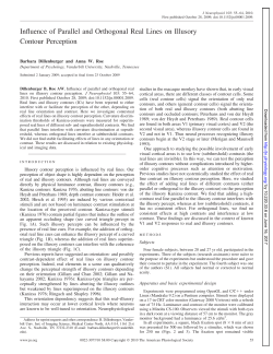 Influence of Parallel and Orthogonal Real Lines on Illusory Contour