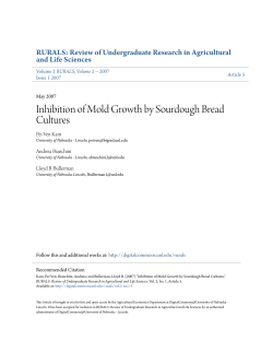 Inhibition of Mold Growth by Sourdough Bread Cultures