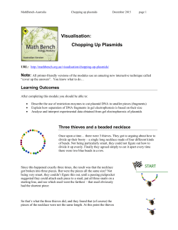 Visualisation: Chopping Up Plasmids