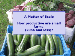 Rebecca Laughton - Small Farm Productivity