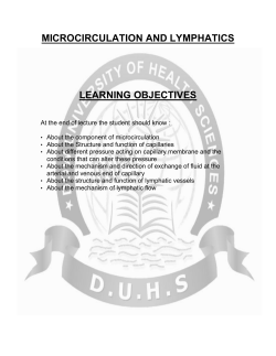 microcirculation and lymphatics