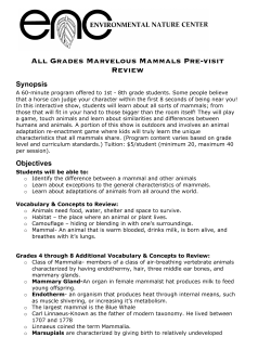 All Grades Marvelous Mammals Study Guide