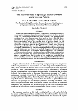 The Fine Structure of Sporangia of Phytophthora