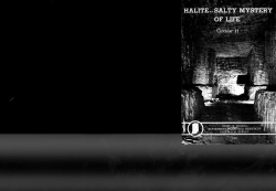 Halite- Salty Mystery of Life