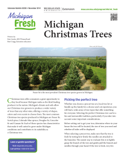 Michigan Fresh: Michigan Christmas Trees