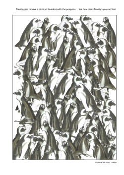 Monty goes to have a picnic at Boulders with the penguins. See how