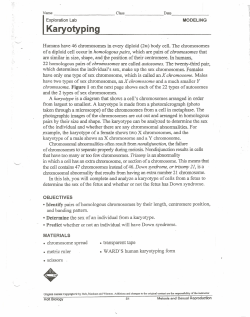 IKal-or-~-iO-~-L~-b-p-in-g-- Humans have 46 chromosomes in every