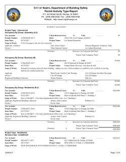 CITY OF NAMPA, Department of Building Safety Permit Activity Type