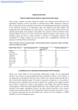 Supplementary Data 1.Neutron Reflectometry Model to