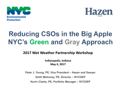 NYC`s Green and Gray Approach
