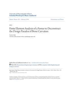 Finite element analysis of a femur to deconstruct the design paradox
