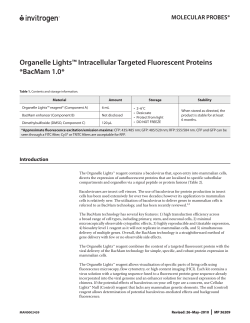Organelle Lights&trade; Intracellular Targeted Fluorescent Proteins