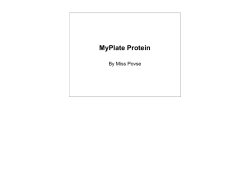 MyPlate Protein