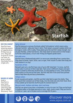 Starfish