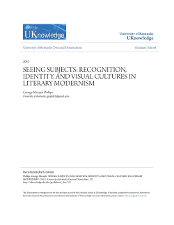 seeing subjects: recognition, identity, and visual cultures in literary