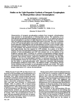 Studies on the Light-Dependent Synthesis of Inorganic
