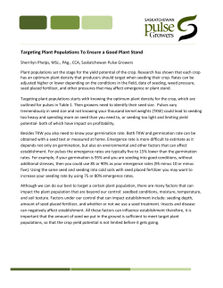 Targeting Plant Populations To Ensure a Good Plant Stand