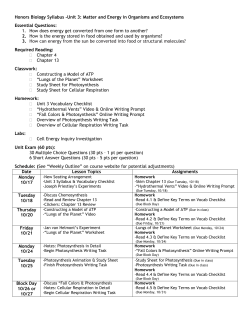 Unit 3: Exploring Matter and Energy in