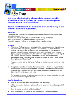 Fly Trap - My Learning