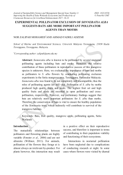experimental pollinator exclusion of sonneratia alba suggests