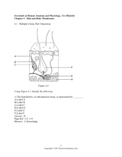 Essentials of Human Anatomy and Physiology, 11e