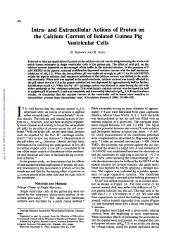 Intra- and Extracellular Actions of Proton on the Calcium Current of