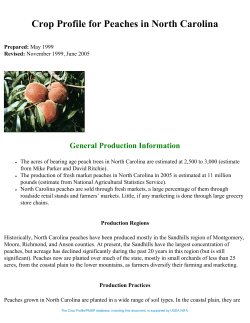 Crop Profile for Peaches in North Carolina