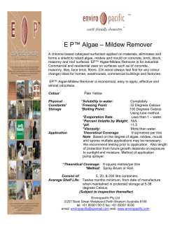 EP Algae Mildew Remover