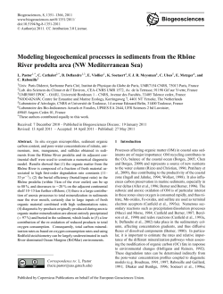 Modeling biogeochemical processes in sediments