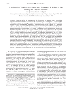 Rho-dependent Termination within the trp t` Terminator. I. Effects of