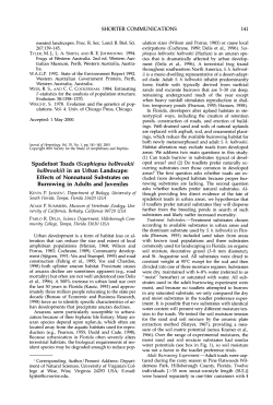 Spadefoot Toads (Scaphiopus holbrookii holbrookii) in an Urban