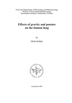 Effects of gravity and posture on the human lung