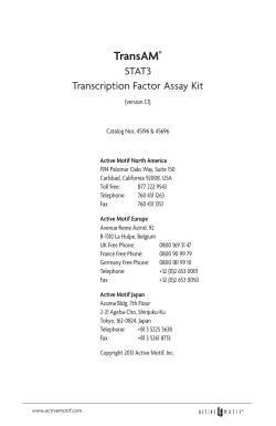 Active Motif`s TransAM STAT3 Manual