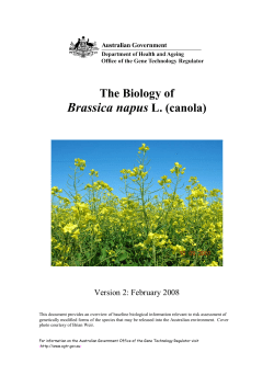 The Biology of Brassica napus L. (canola)