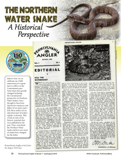 the northern water snake - Fish and Boat Commission