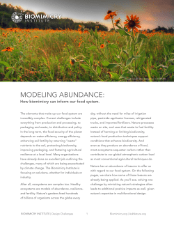 modeling abundance