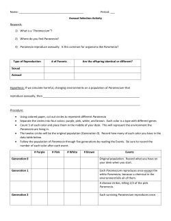 Asexual Selection Activity Research: 1) What is a &ldquo; Paramecium&rdquo;