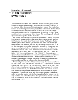 The Fin Erosion - FTP Directory Listing