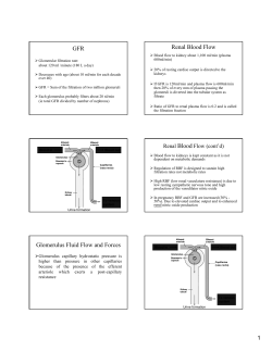 GFR Renal Blood Flow Glomerulus Fluid Flow and Forces
