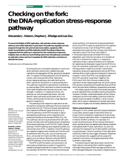 Checking on the fork: the DNA-replication stress-response