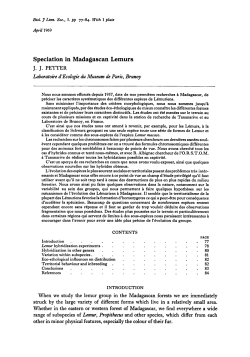 Speciation in Madagascan Lemurs