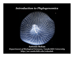 Introduction to Phylogenomics