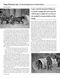 Puppy Placement Age - Irish Wolfhound Club of America, Inc.