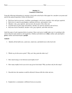 Minilab 2.1 Construct a Food Web