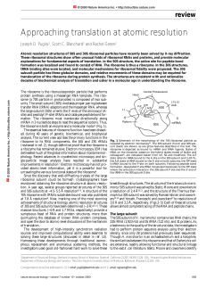 Approaching translation at atomic resolution