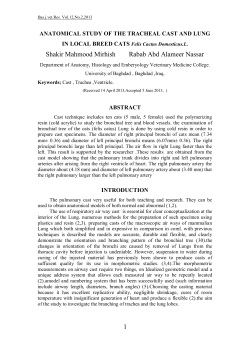 ANATOMICAL STUDY OF THE TRACHEAL CAST AND