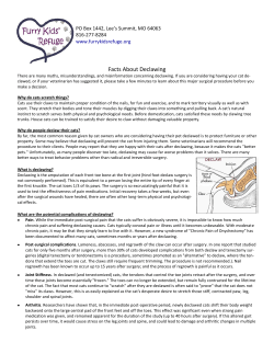 Declawing Fact Sheet