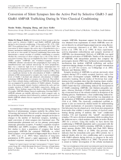 Conversion of Silent Synapses Into the Active Pool by Selective
