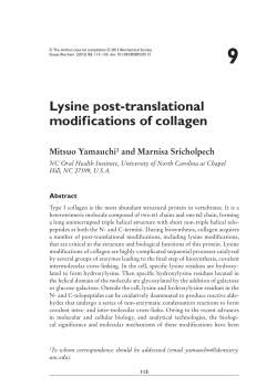 Lysine post-translational modifications of collagen