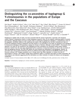Distinguishing the co-ancestries of haplogroup G Y